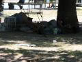 EmpoweringFontana.wmv