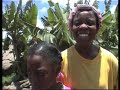 sur l'�le rodrigues, dans l'oc�an indien, la religion et la magie se rencontrent � la mani�re des lointains anc�tres africains. apr�s le travail des champs, nombreux sont ceux qui se rendent, le dimanche, dans l'�glise de soeur sweetee.