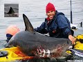 Shark Attack 3 Video