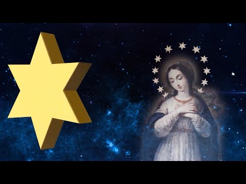 Chuẩn bị mừng lễ Mẹ Vô Nhiễm 2022: Một vương miện 12 ngôi sao - Ngày 26/11: Gia đình là Món quà của Thiên Chúa