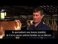  EasyFix Slat Rubber Concrete Slats Animal welfare Dairy Cows Beef Cattle Milk Production beef production Galway