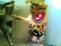 Paddy Kicks the Punching Machine