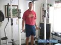 Arm Muscle Exercises : How to do Dumbbell Bicep Curl Arm Exercises