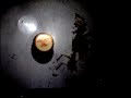 GIANT SPIDER CAPTURED ALIVE !