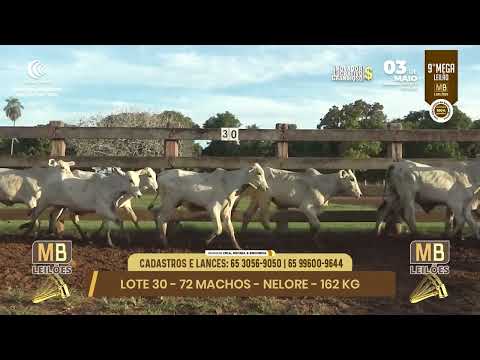 9� MEGA LEIL�O DA MB LEIL�ES