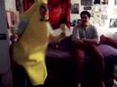 peanut butter jelly and a baseball bat