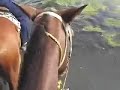 Horseback Riding in Rosarito, Mexico