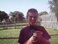airsoft guns P22 R36 M4 12 gage shotgun