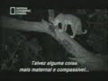 fghfjhg,nice video in youtube ???? ????? ??? ??????? fghfjhg,nice video in youtube ???? ????? ??? ???????