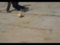 Galera jogando futebol
