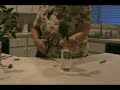 Entering Horticulture in a Flower Show