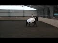 Weihnachts-Kür 2007 Reitstall Schack Weihnachts-Kür 2007 Reitstall Schack