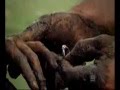 Stevie  Alex  kissing like crazy - Simmone Mackinnon - Flixster Video
