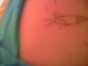 S7301543.AVI