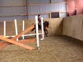 Gagamel hoppning