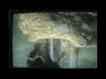 NVIDIA Cascade Demo Zotac 8800GTS 320MB