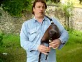 Istvánfi Balázs plays duda(hungarian bagpipe) Istvánfi Balázs plays duda(hungarian bagpipe)