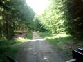 Wald Cammin.mp4
