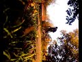 Me On Bmx Jump