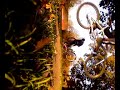 Me On Bmx Jump