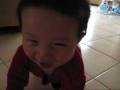 2008 Dec Crawling and Eating.wmv