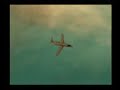 SanAndreas Part 6