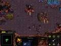 Starcraft Brood War - Zerg 10 Omega in 24:26 - Part 1/3