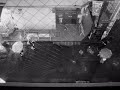Library Tapes - Above the flood Library Tapes - Above the flood