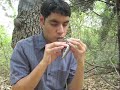 Sadness and Sorrow on Ocarina
