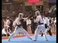 Nippon Kempo
