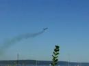 Harrier Harrier