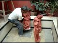 Heritage Mumbai abused