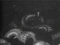 Dr. Kahuna Presents: Little Shop Of Horrors (p9/9)
