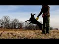 nauka-flipa.html