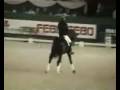 Horse Riding Video Contest!