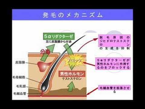 URS-1378Youtube(ユーチューブ・ゆーちゅーぶ)・Dailymotion動画