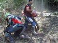 22112008033.mp4 22112008033.mp4