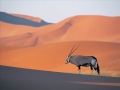 Video screenshot