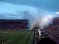 TIGRES UANL