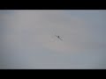 Topflite 1/5 scale RC Mustang F-51