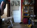early video of Lady doing high five clem and gabby in video 2012 -Views : 0