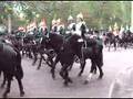 The Household Cavalry 2004
