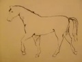 Hurry the Horse