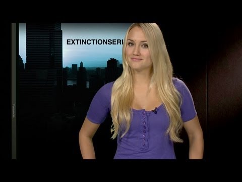 preview-3DS-Ambassadors-NES,-Secret-World-Beta-&-Radiant-Silvergun-XBLA---IGN-Daily-Fix-08.30.11-(IGN)