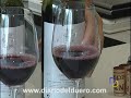 cata pintia