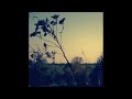 Wankelmut – O