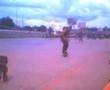 topy demo