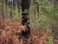 BECADAS EN BIZKAIA(2)