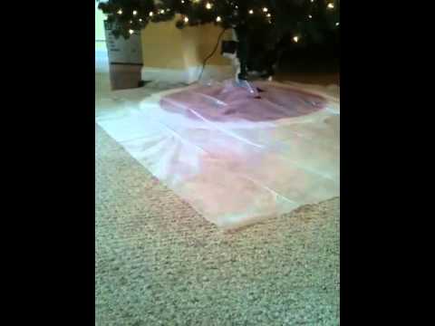 how to keep cat out of christmas tree