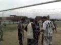 videos de Festival